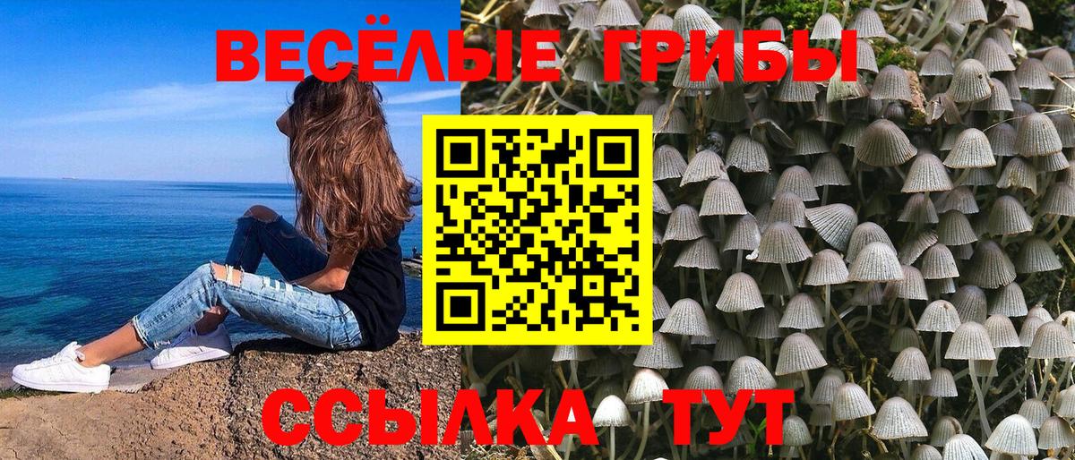 Псилоцибиновые грибы мухоморы Строитель